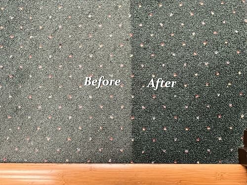 Comparison of carpet before and after cleaning