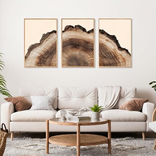 KAIRNE Framed Tree Ring Wall Art Set