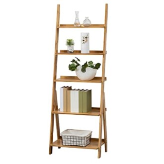 Wooden ladder bookshelf with plants and books.